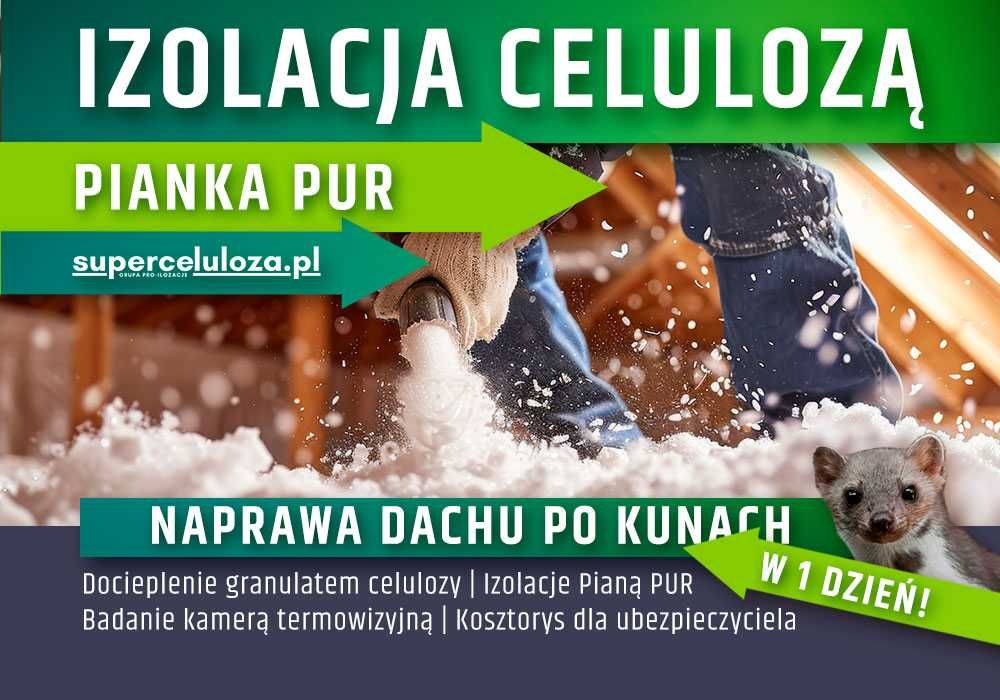 Naprawa dachu po kunach | Wdmuchiwanie celulozy | KUNY | CELULOZA