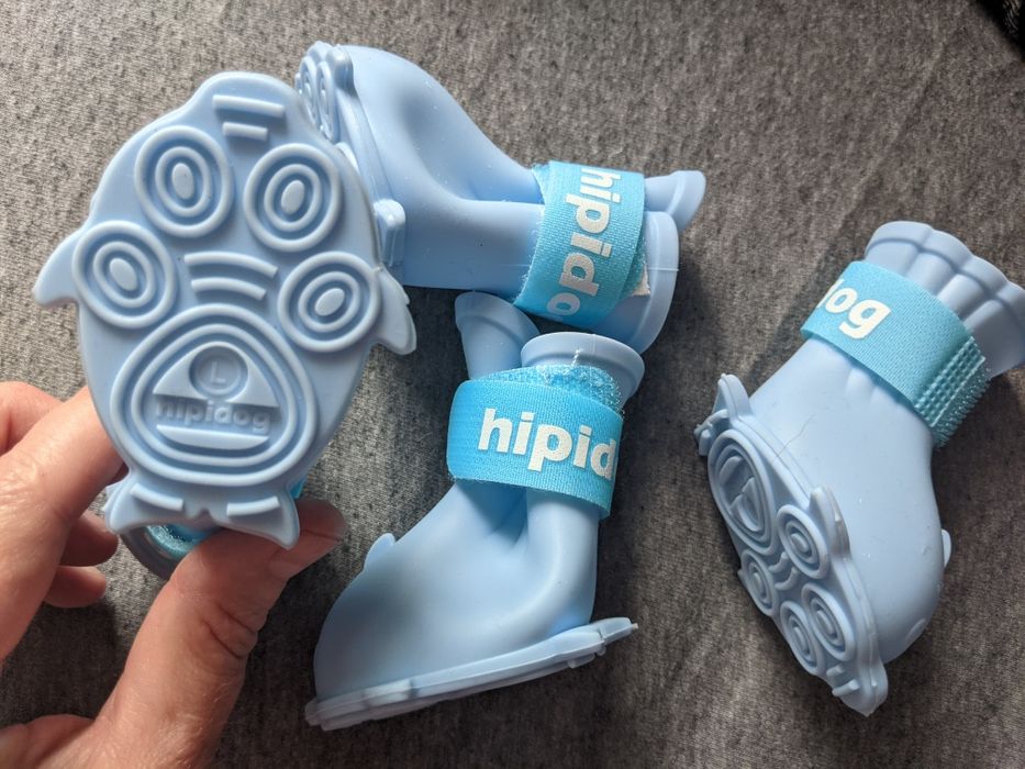 Buty gumowe dla psów małych ras