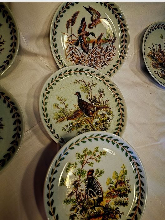 Vista Alegre pratos Diana caça