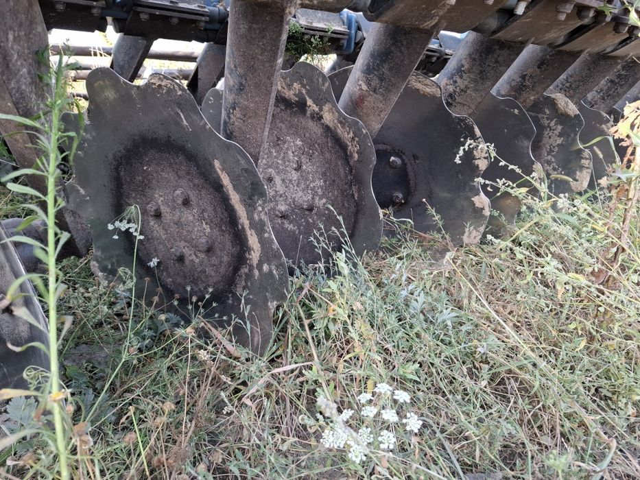 Talerzówka ciężka 5,20 m Beckmann Volmer