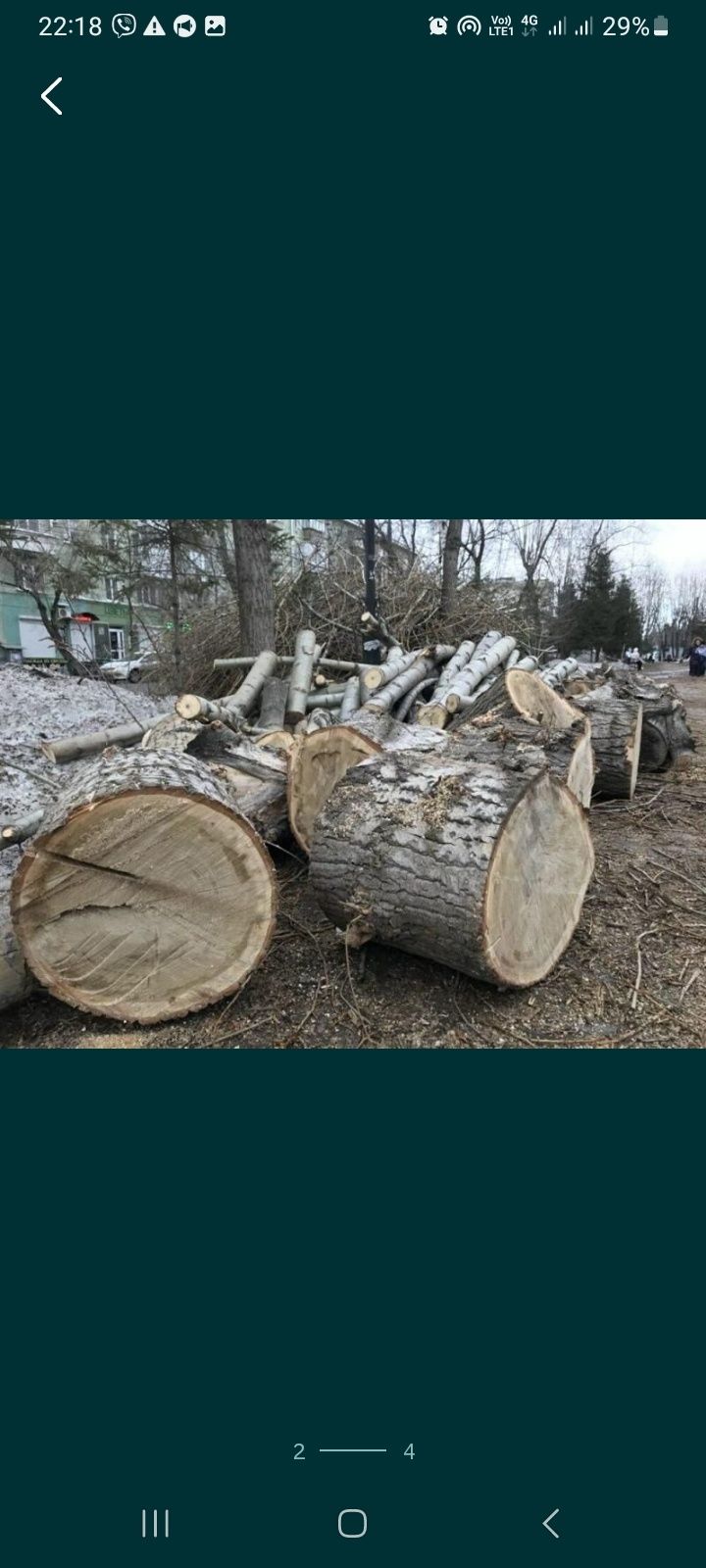 Спилить дерево. Обрезка деревьев Харьков и обл.