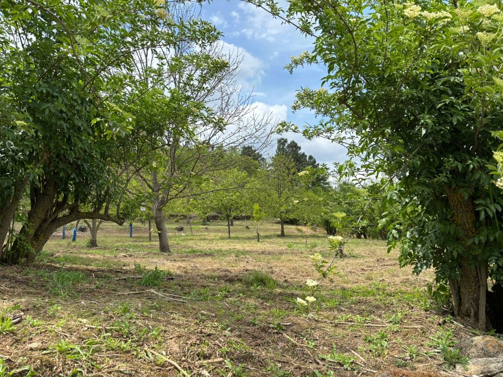 Vende se terreno agrícola