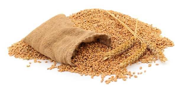 Sprzedam pszenice 2025r