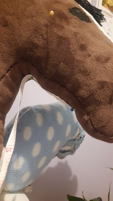 niebieski kantar dla hobby horse na zamówienie