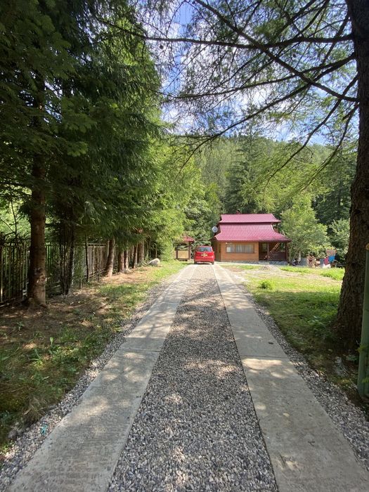 Здається в оренду будинок у Карпатах біля водоспаду в с. Татарів