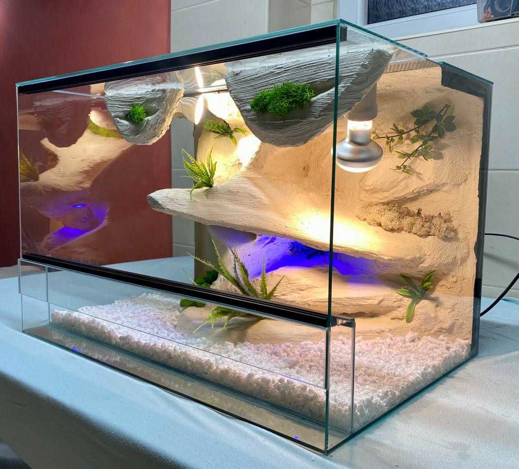 Nowe Terrarium 60x40x40 Gekon Lamparci, Jaszczurka