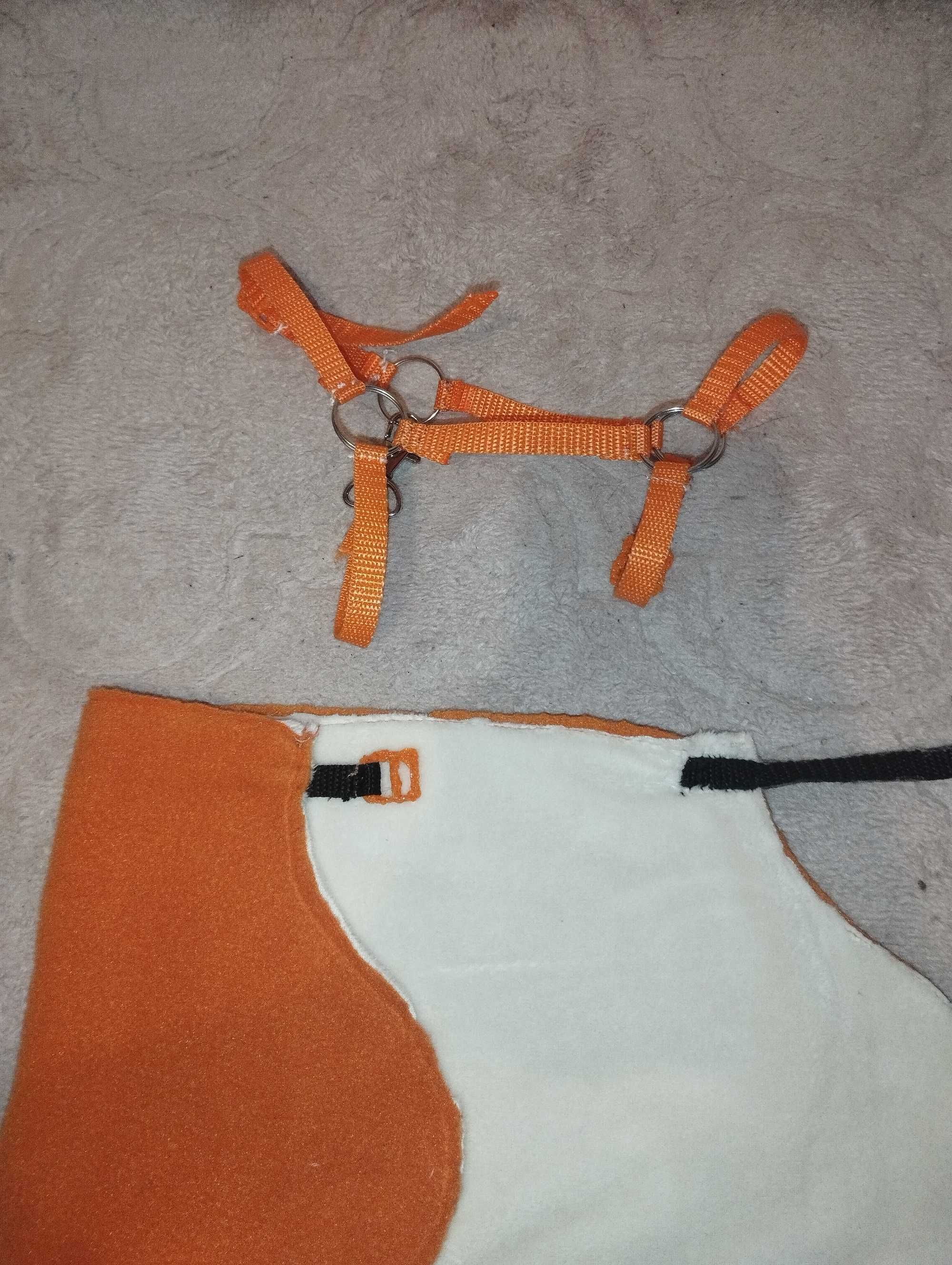 Jesienna kolekcja hobby horse Derka i kantar