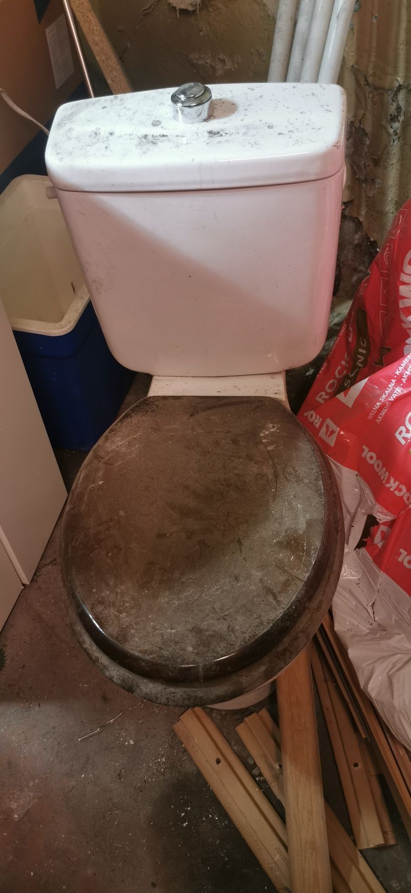 muszla klozetowa ubikacja wc