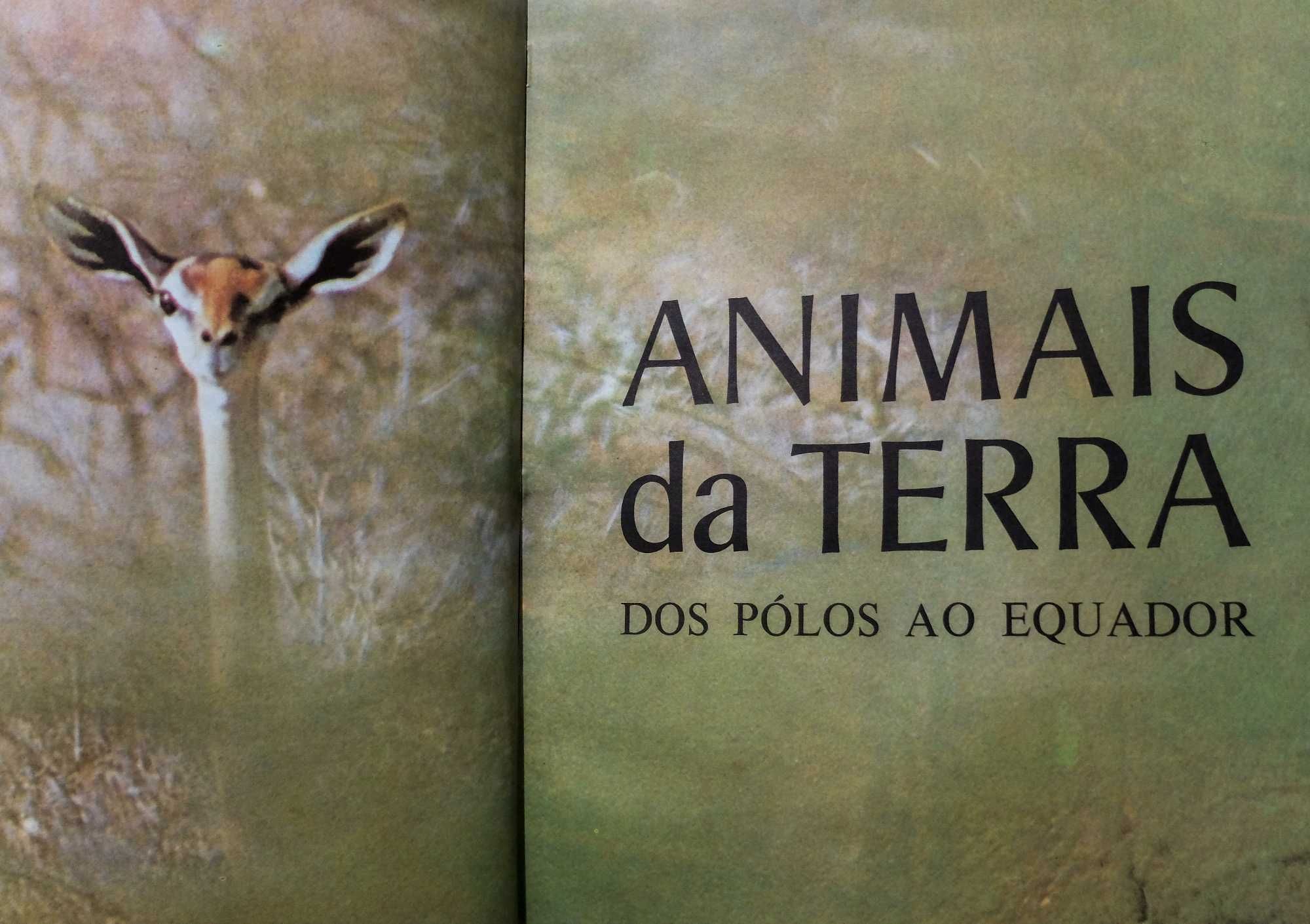 Livro - Animais da Terra - Ano 1974 - Bom estado