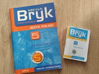 "Bryk - Młoda Polska" z mini wersją