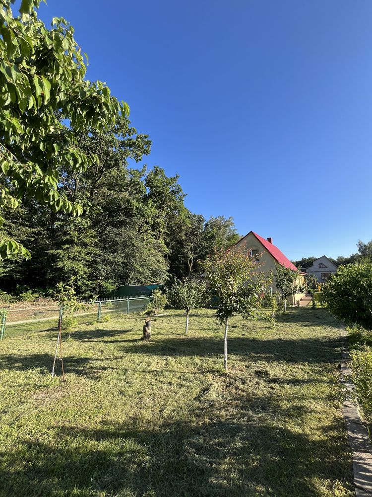 Цегляна дача біля лісу