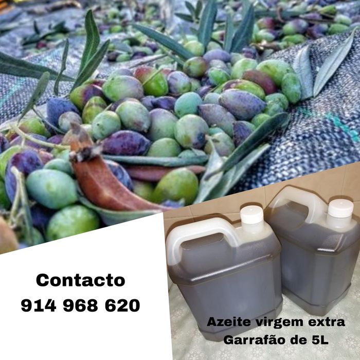 Azeite virgem extra