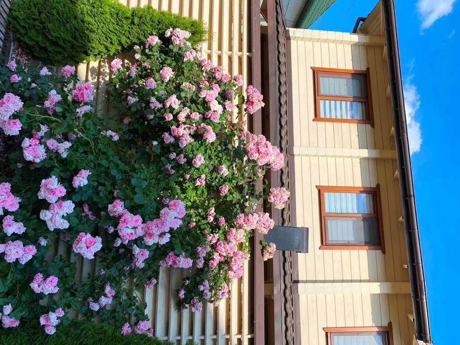 Сдам Эко Дом, Черноморск! Автономное отопление! Есть Генератор и АКБ !