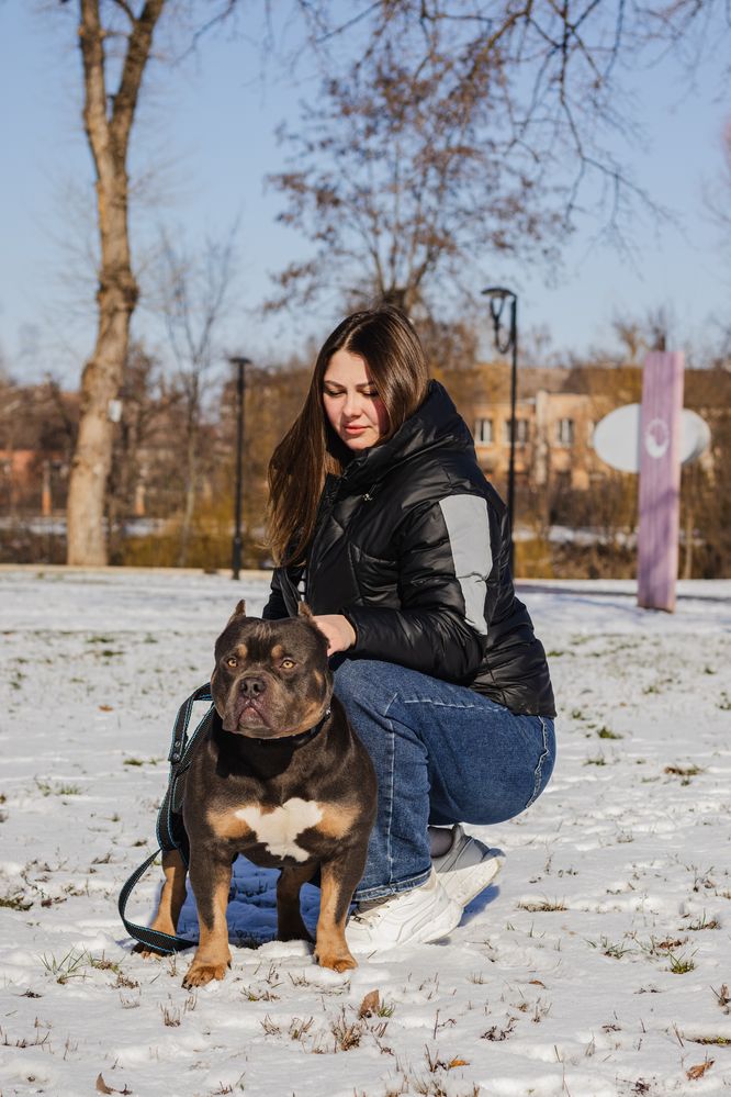 Хлопчик буллі покет