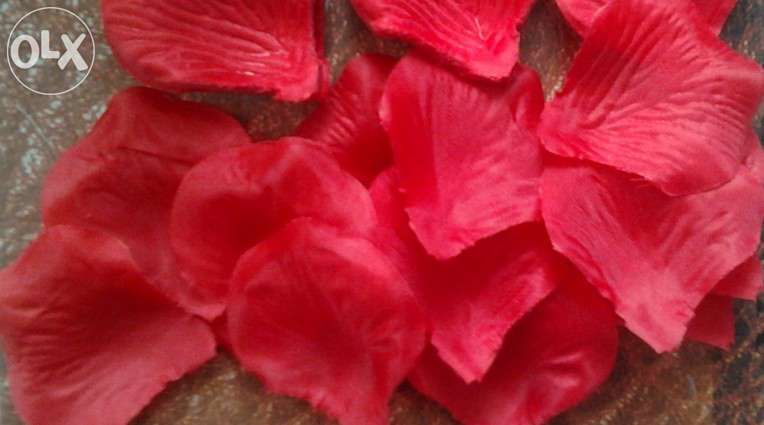 Conjunto de festa / aniversario Petalas de rosa em seda 500