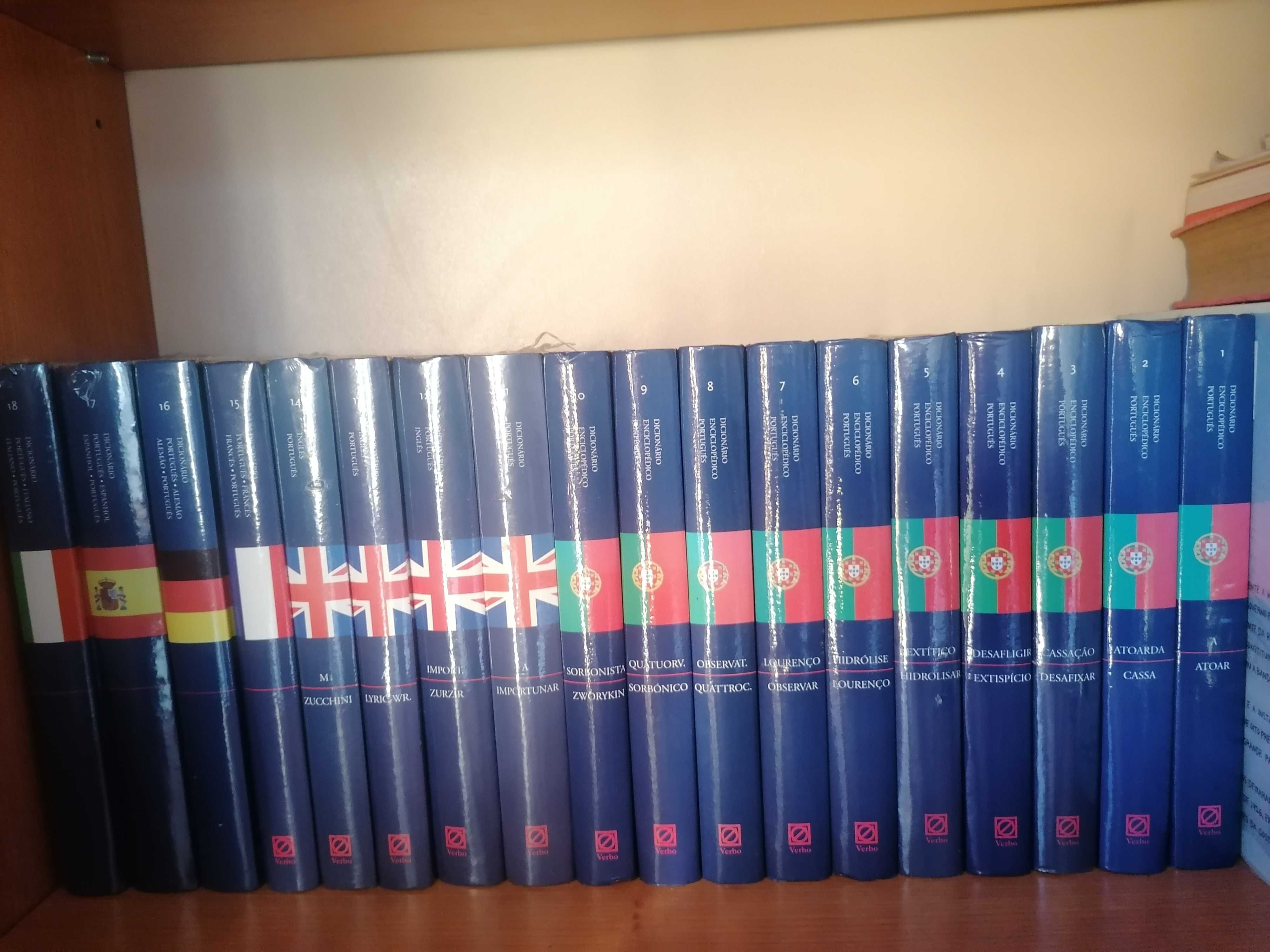 Dicionários coleção de 18