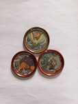 Tazos metálicos pokemon