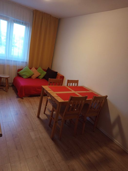 Wolny apartament 11 listopada