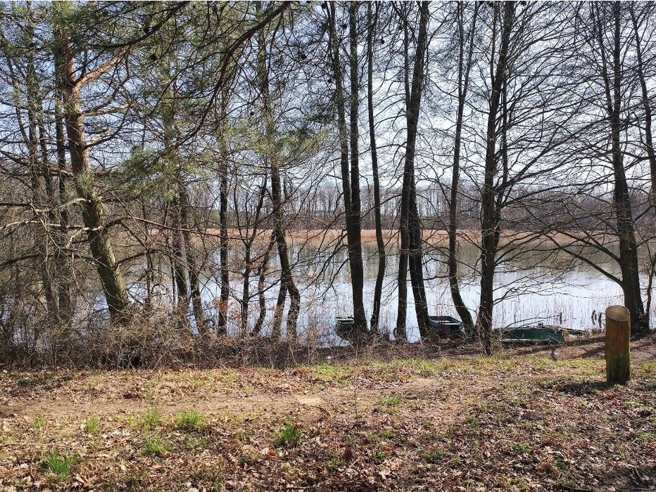 Działka ROD Las Jezioro Plaża