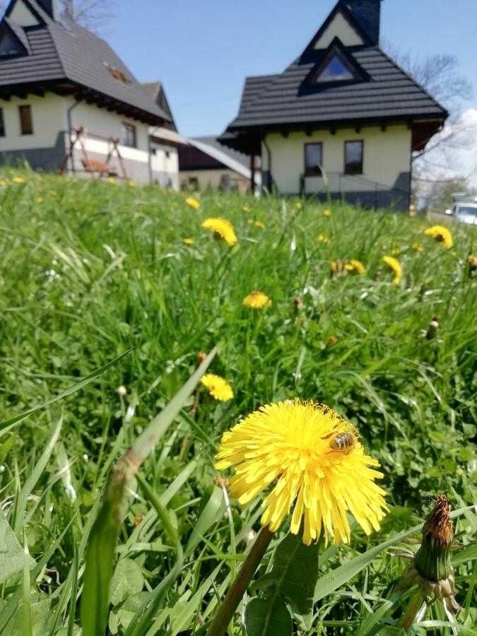 Domki z widokiem na Tatry "Szostakówka" (WOLNE TERMINY!)