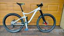 Giant Trance Reign 160/160mm RAW custom Mattoc/McLeod Enduro