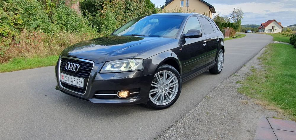 Audi A3 Zadbany_ 2.0 TDI_Alu 17_Xenon_Skóra_ Relingi_NIEMCY_ Opłacony