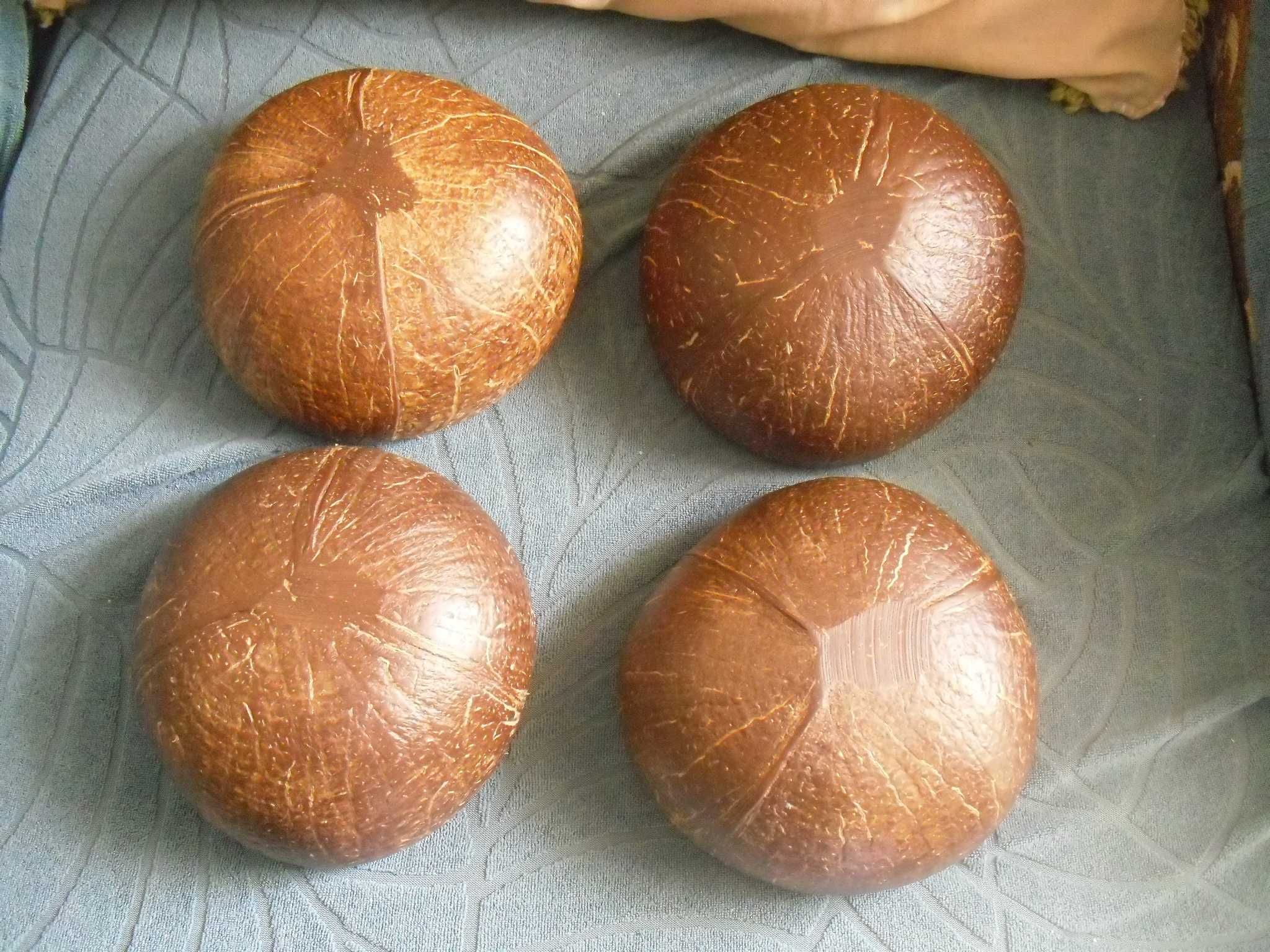 4 tijelas em casca de coco