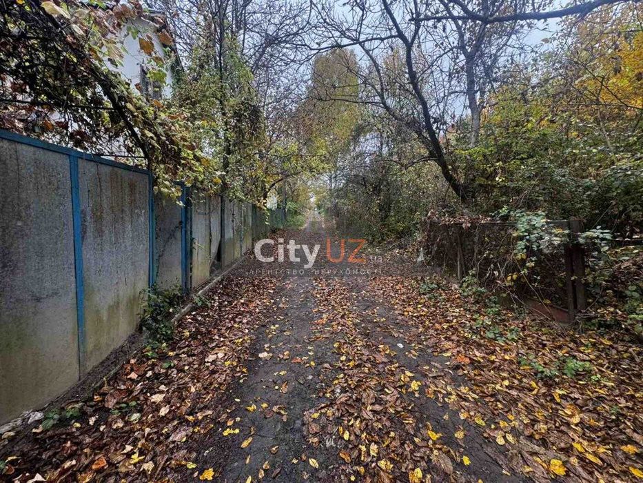 Продається дача в Оріховиці