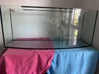 Akwarium panoramiczne 210l