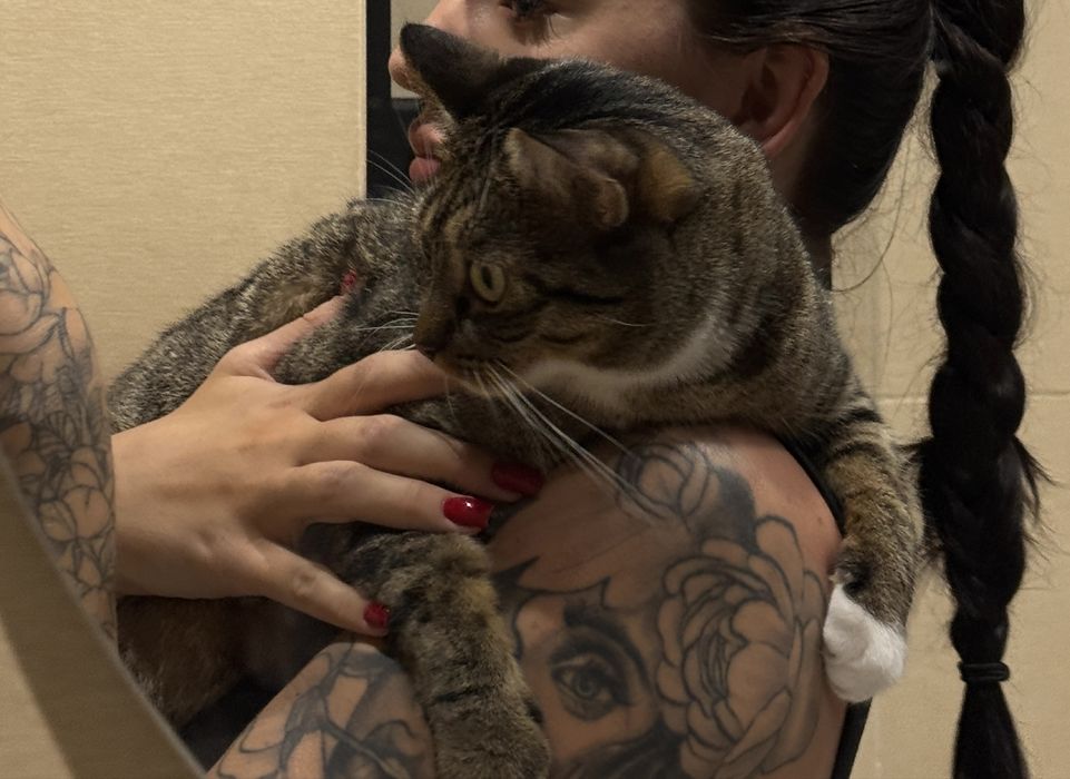 Kotka, dom dla dwuletniej kotki