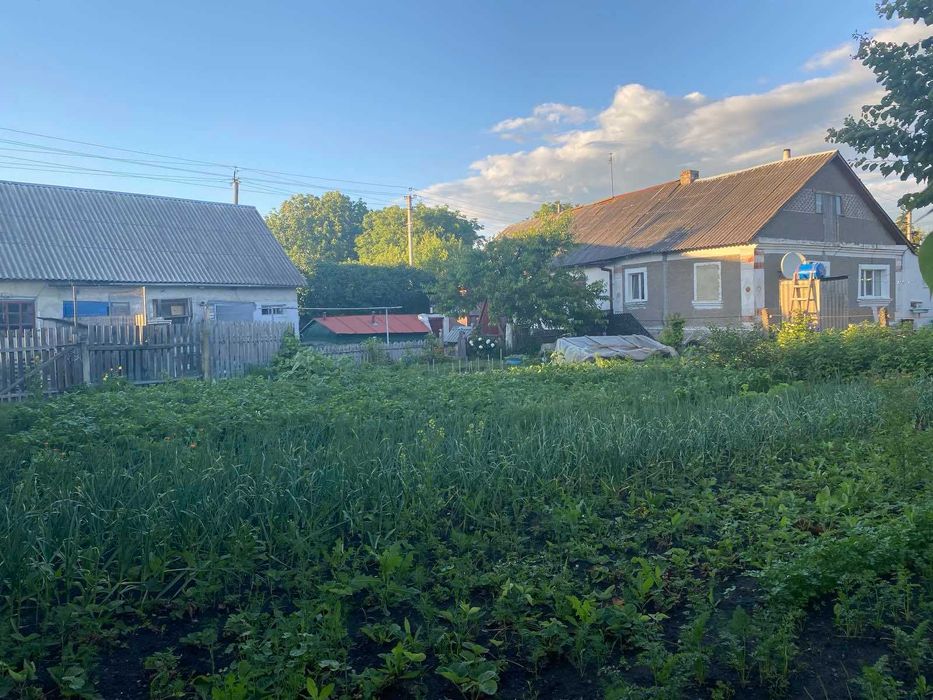 Продається будинок в Грицеві