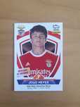 Cromo rookie João Neves SL Benfica PSG