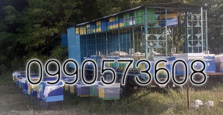Прицепи для пасіки,Бжоловіз