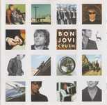 Bon Jovi - Crush [Pop Rock]