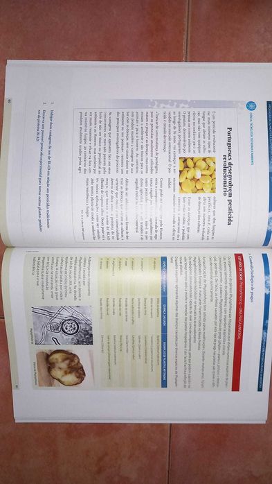 Manual de Biologia 12°ano