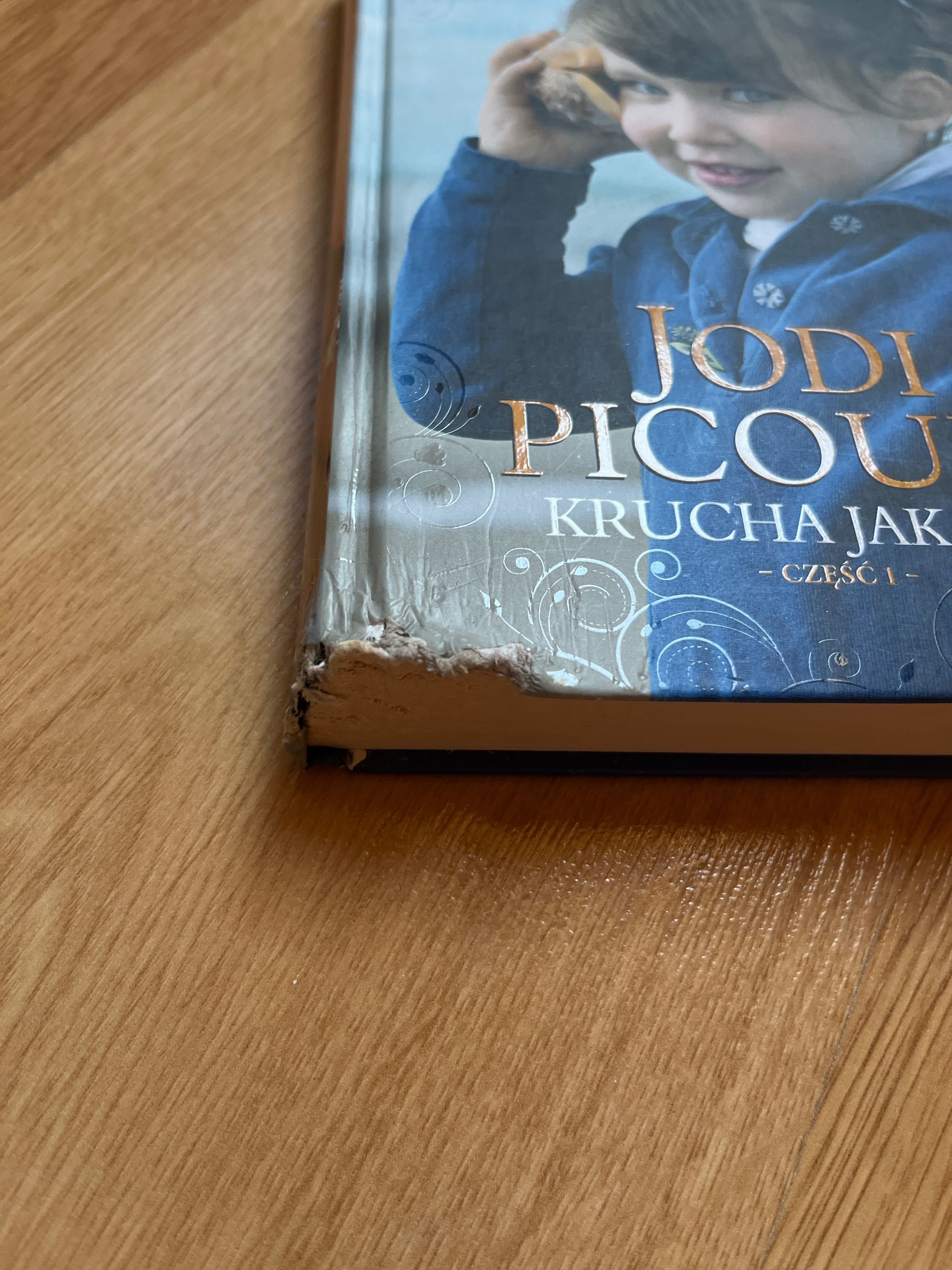 Krucha jak lód Jodi Picoult