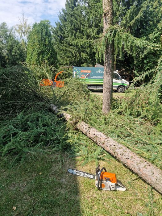 Wycinka drzew i krzewów, usługi rębakiem, usługi glebogryzarką, zwyżka