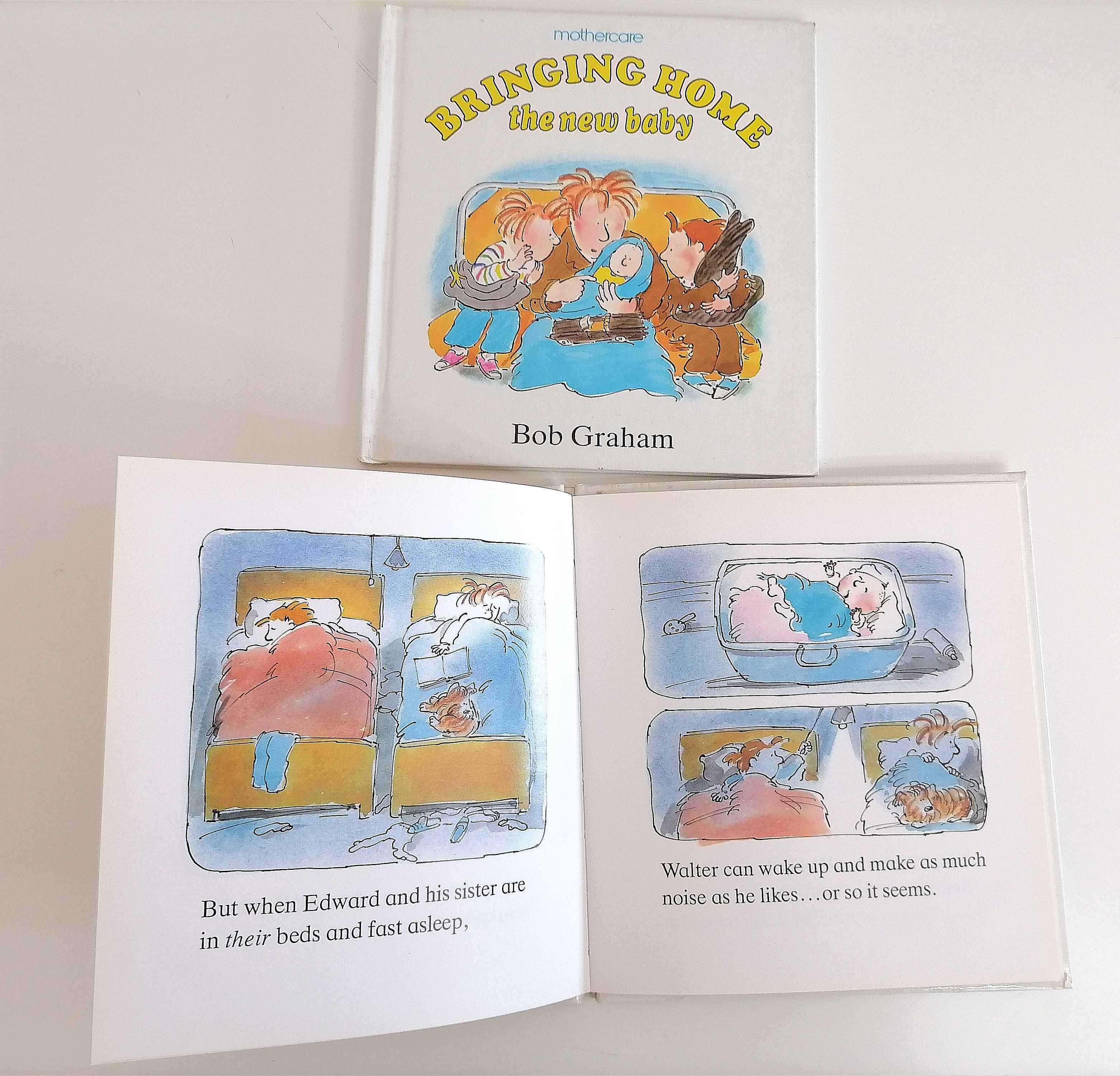 Livros infantis em Ingles Nanette Newman e de Bob Graham