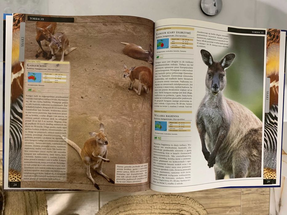 Wielka Encyklopedia Zwierząt - Ssaki tom 1