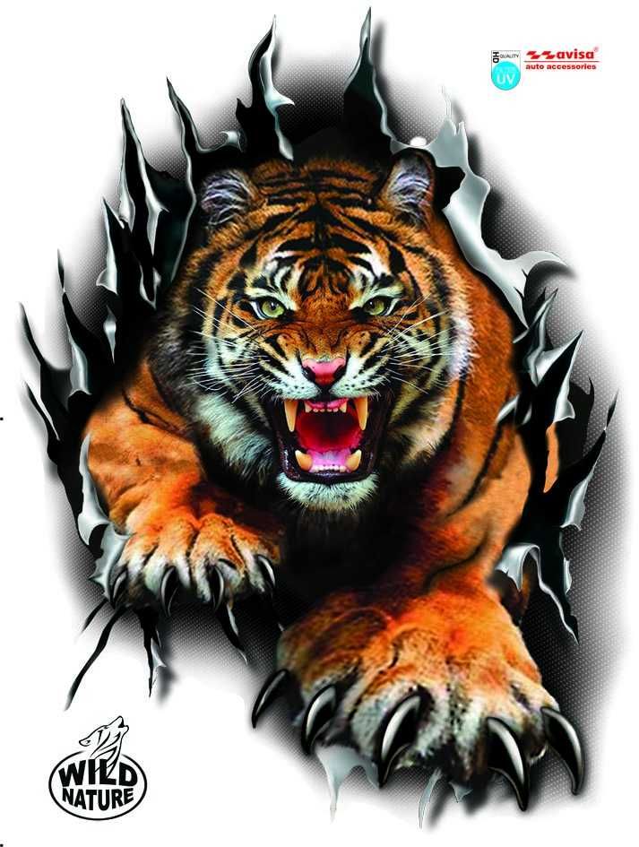 Naklejka tygrys    max