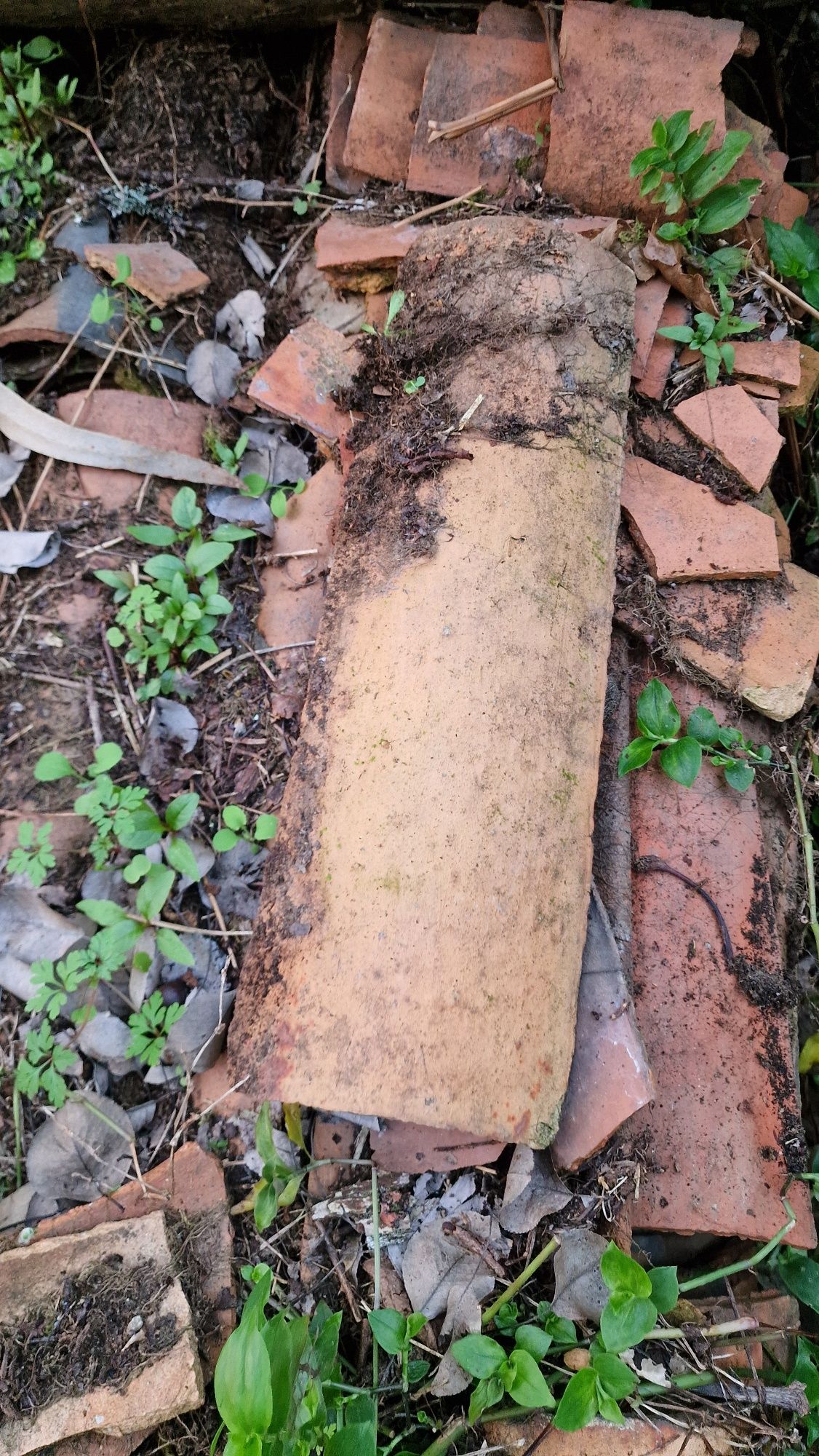 Telha de canudo feita a mão muito antigaa
