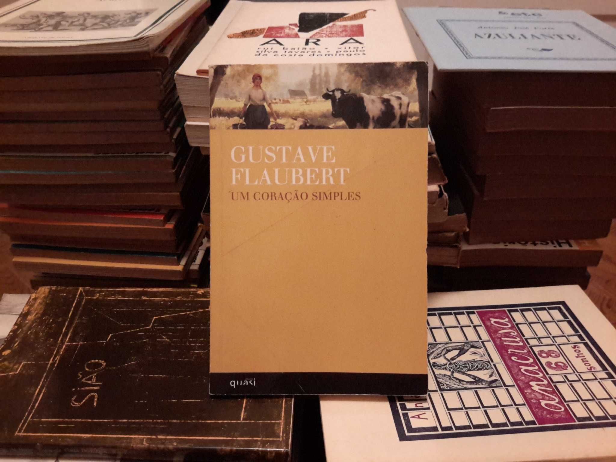 Gustave Flaubert - Um Coração Simples