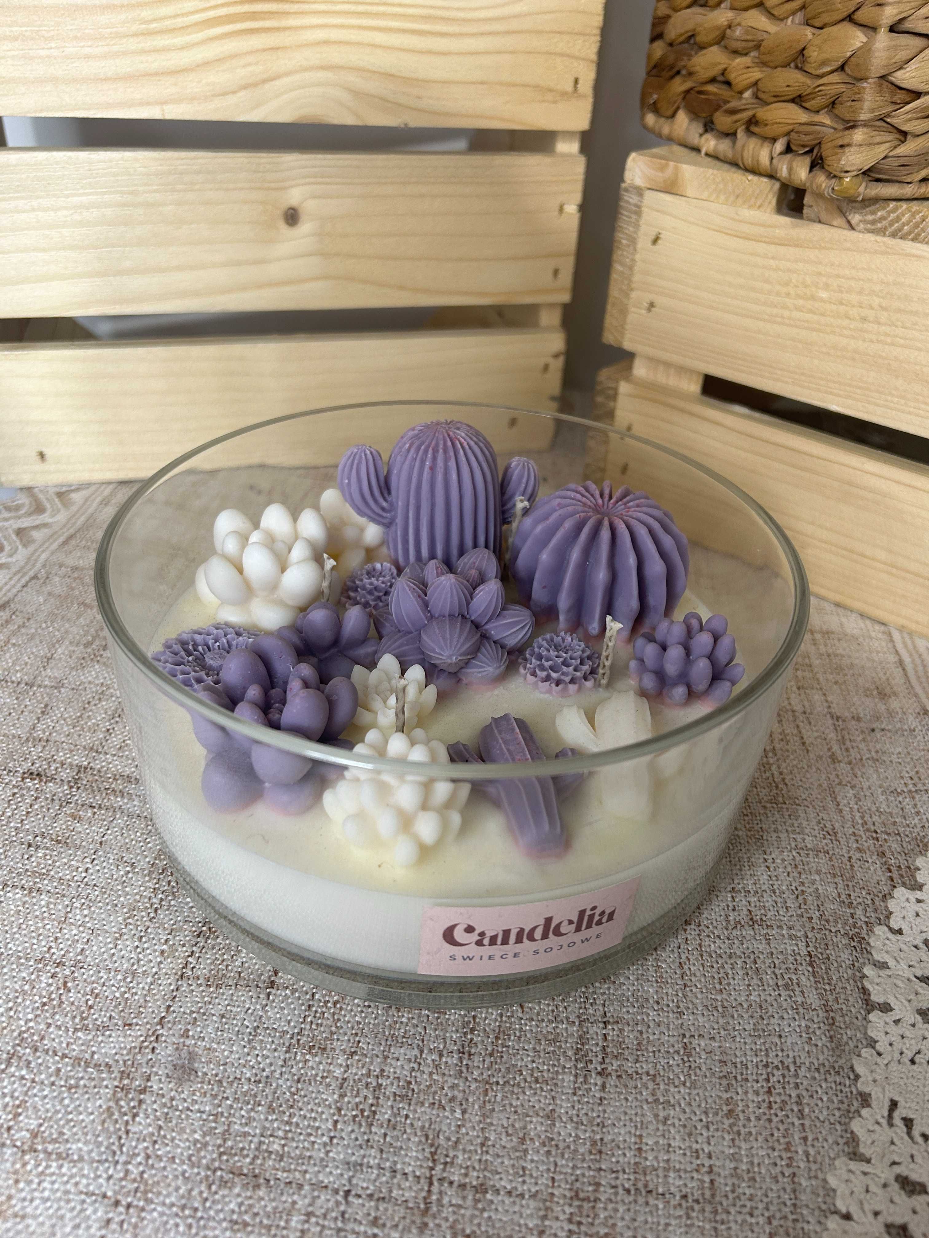Świeca sojowa | kaktusy fioletowe | 700g wosku | pieczone jabłko