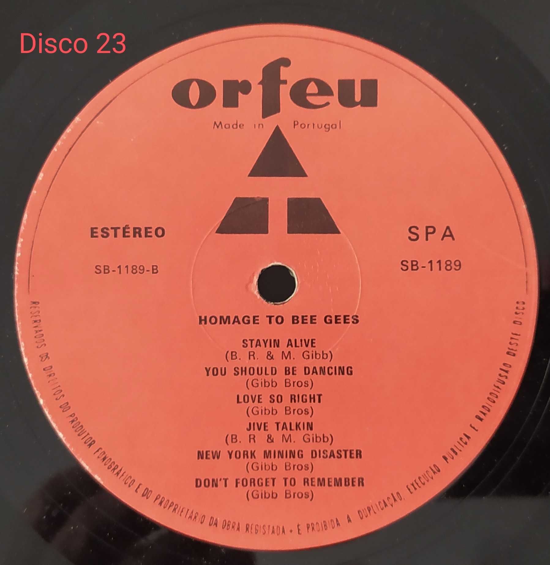 Bee Gees Homage To LP Disco 23