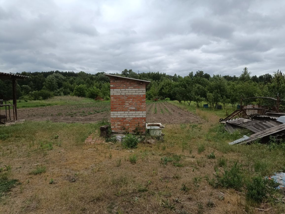 Земельна ділянка з дачним будинком