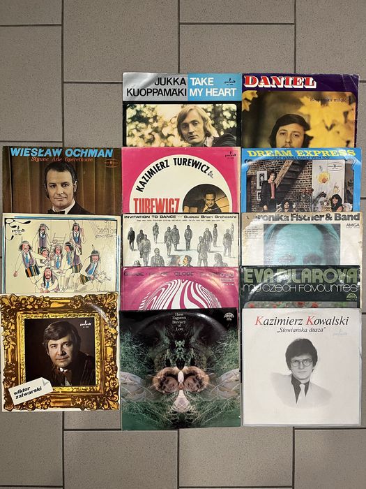 Zestaw 13-tu płyt winylowych. Muzyka rozrywkowa i rockowa