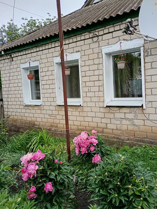 Продається будинок село Петрівка Берестинського району