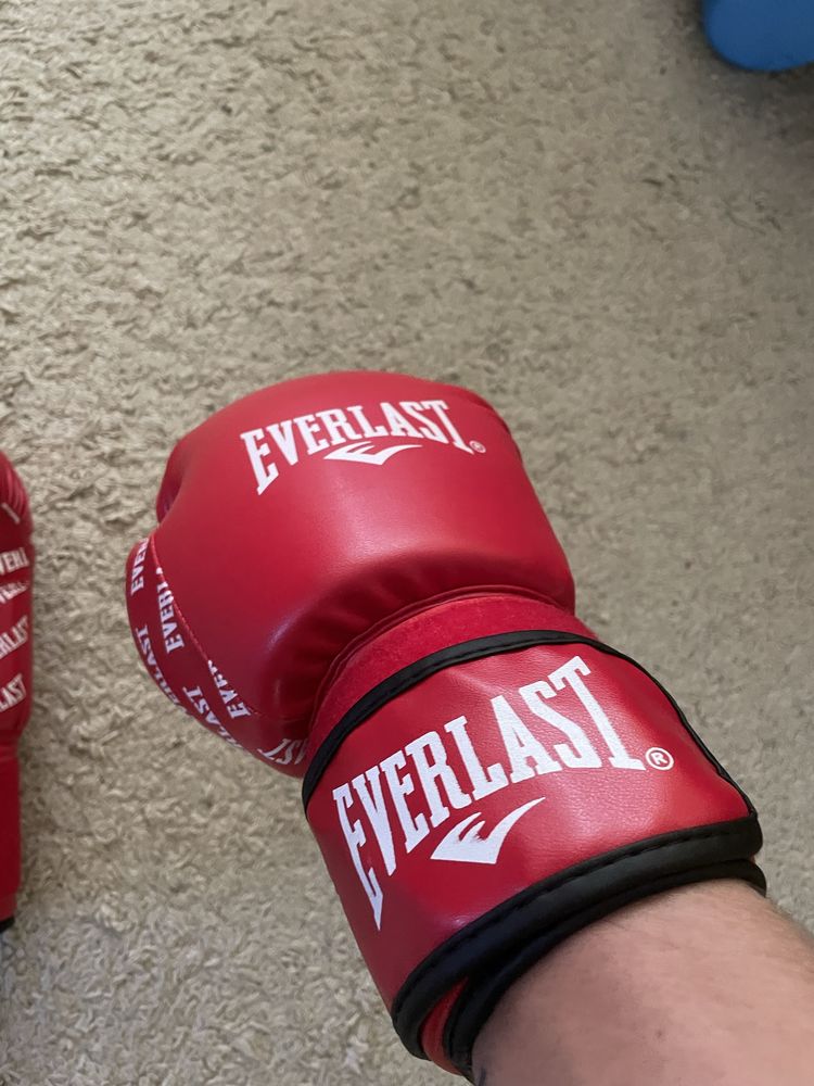 Боксерські рукавиці Everlast 12oz