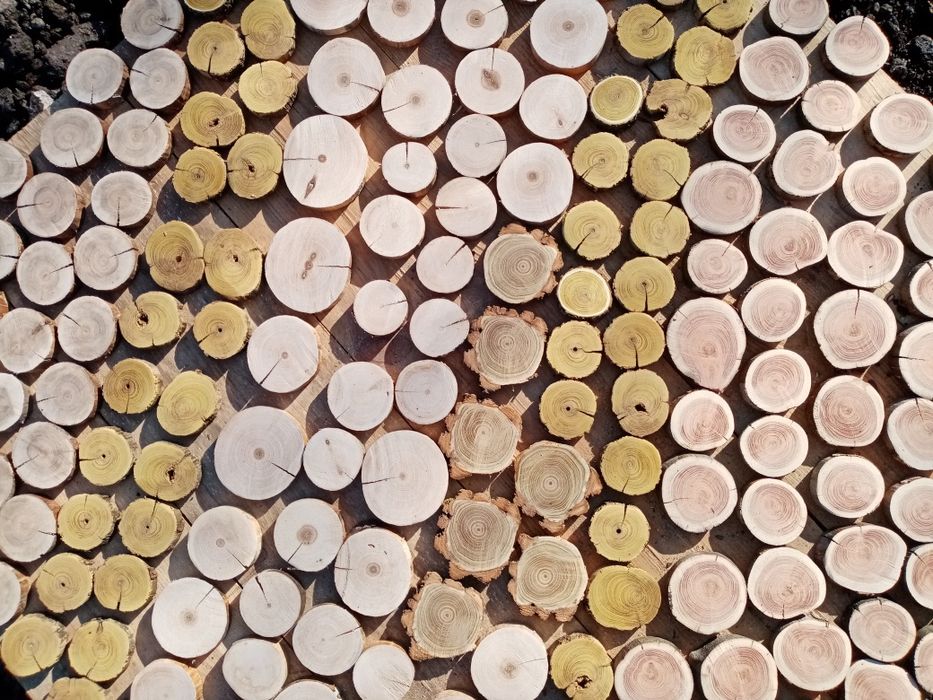 Слэб, торцевой срез дерева, спил, панно, декор из дерева