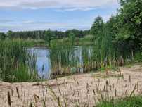 Dolina Baryczy domek holenderski, kamping, namioty, dom, jazda konna